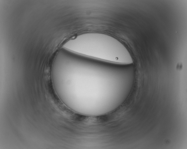 X0000111120123200906301050