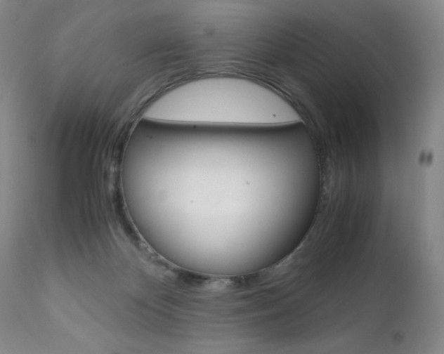 X0000111120124200906301050