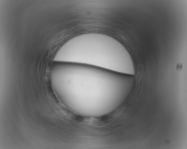X0000111120125200906301050