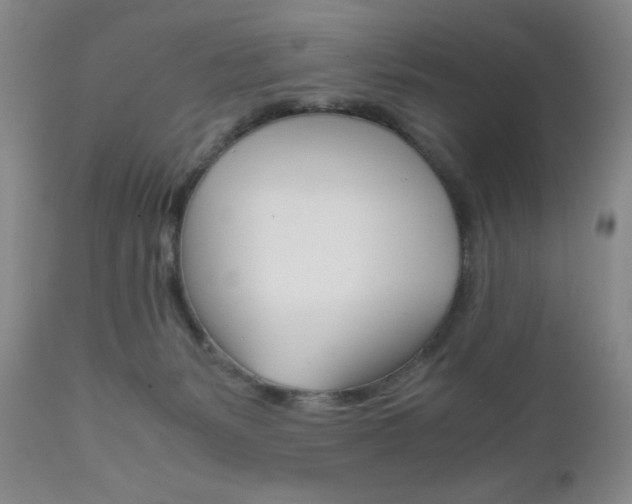 X0000111120127200906301050