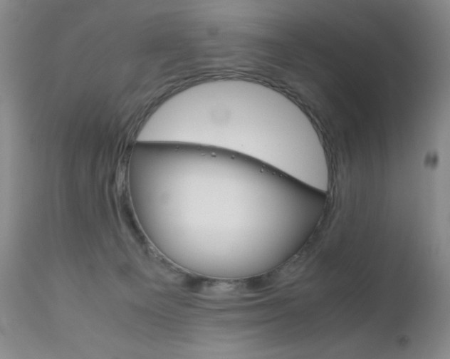 X0000111120129200906301050