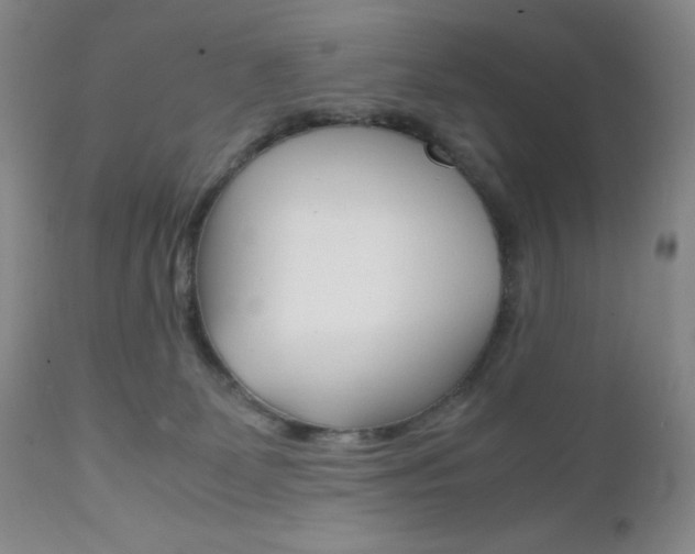 X0000111120131200906301050