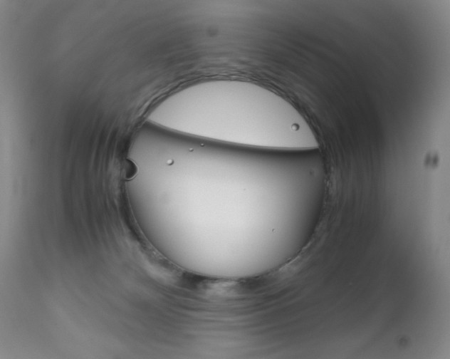 X0000111120132200906301050