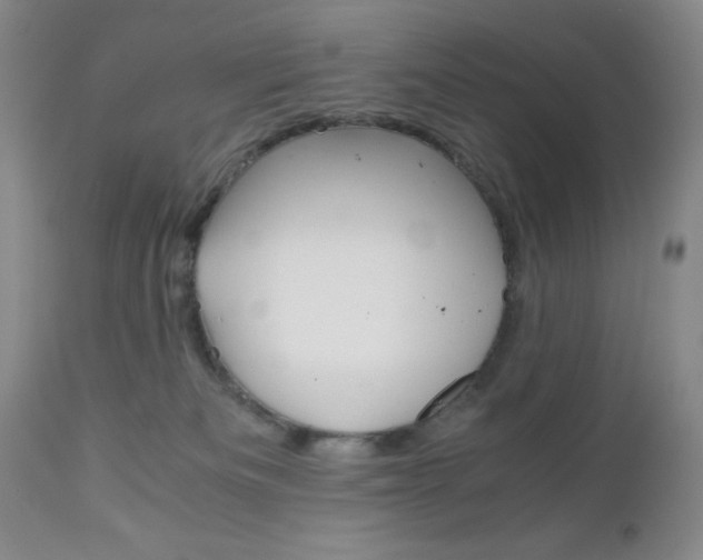 X0000111120133200906301050
