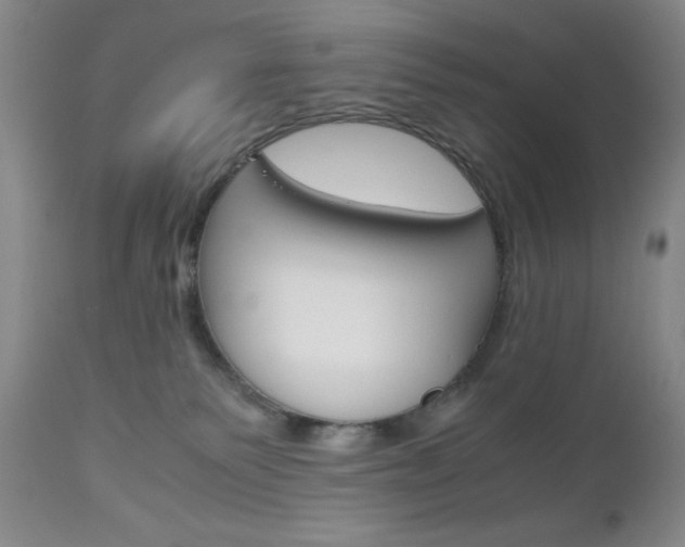 X0000111120135200906301050