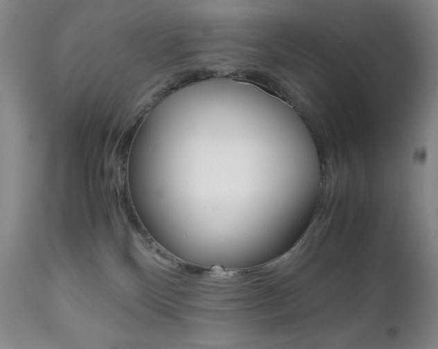 X0000111120136200906301050