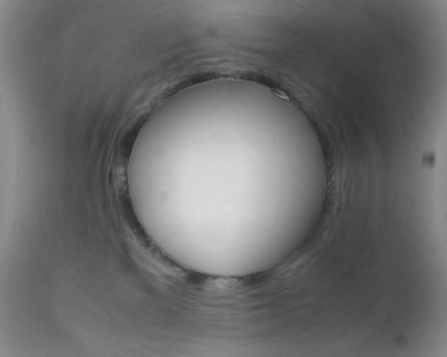 X0000111120137200906301050
