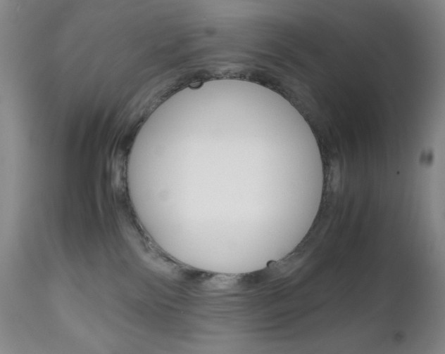 X0000111120138200906301050