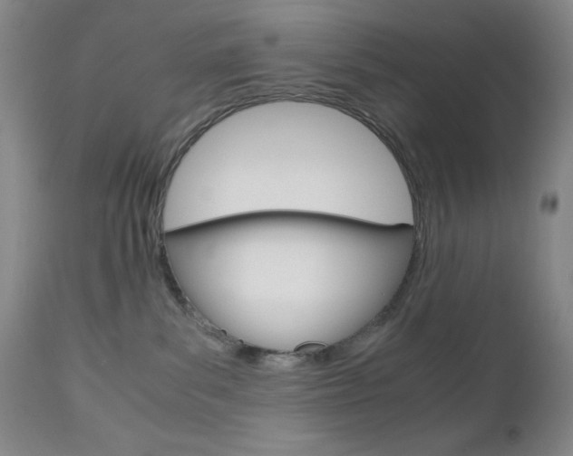 X0000111120139200906301050