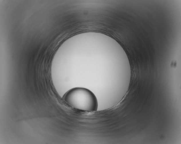 X0000111120140200906301050