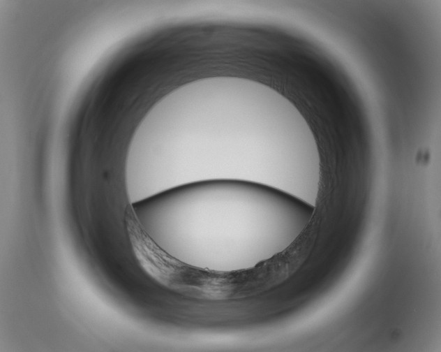 X0000111120143200906301050