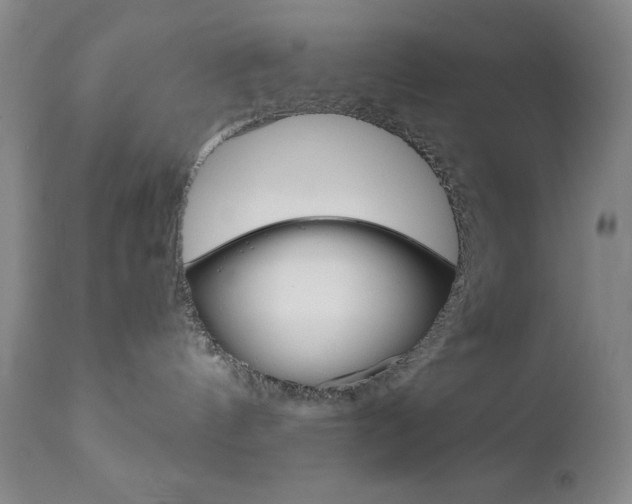 X0000111120144200906301050