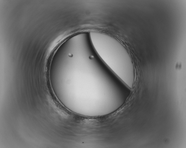 X0000111120150200906301049