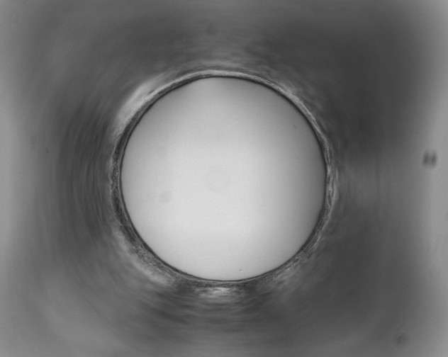 X0000111120151200906301049