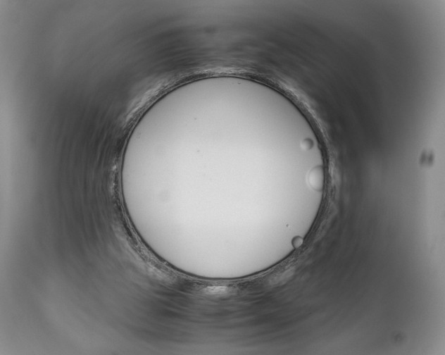 X0000111120153200906301049