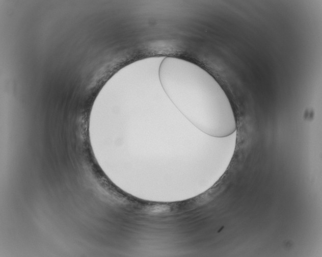 X0000111120162200906301049