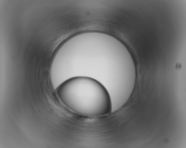 X0000111120164200906301049