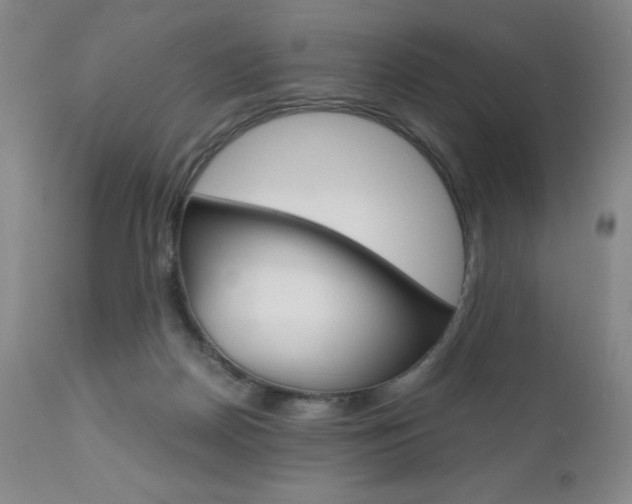 X0000111120170200906301049