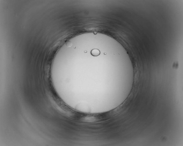 X0000111120171200906301049