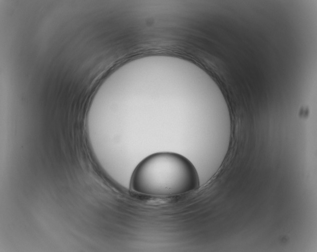 X0000111120172200906301050