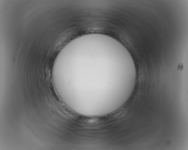 X0000111120173200906301050