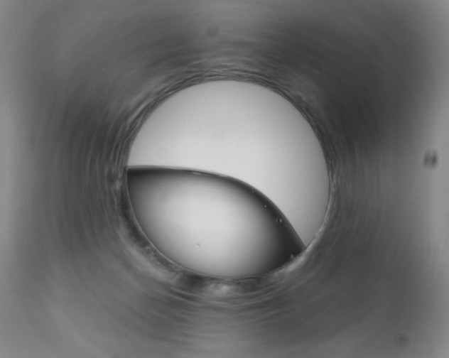 X0000111120174200906301050