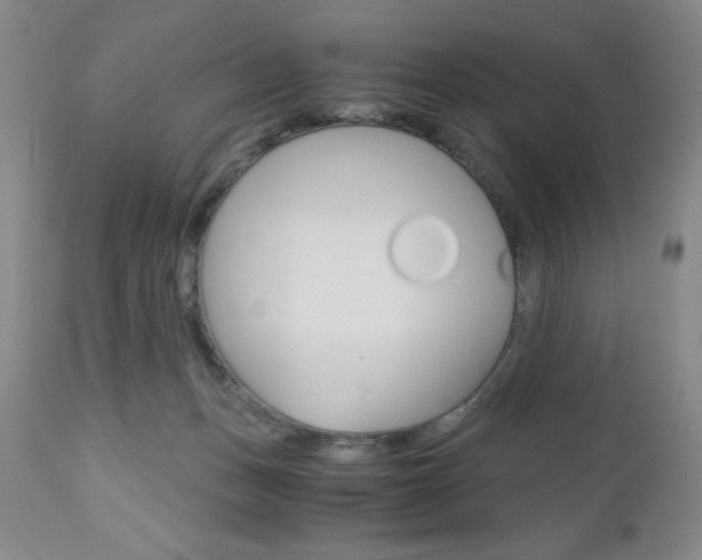 X0000111120175200906301050