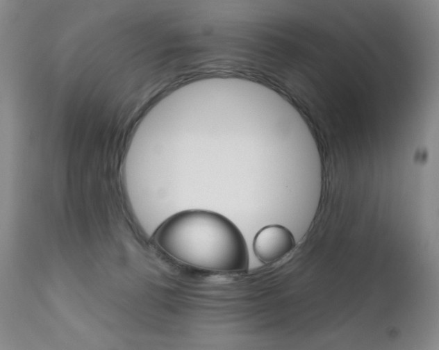 X0000111120176200906301050