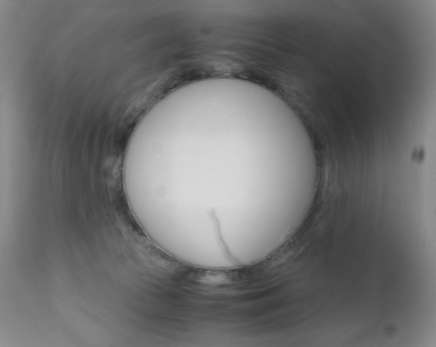 X0000111120177200906301050