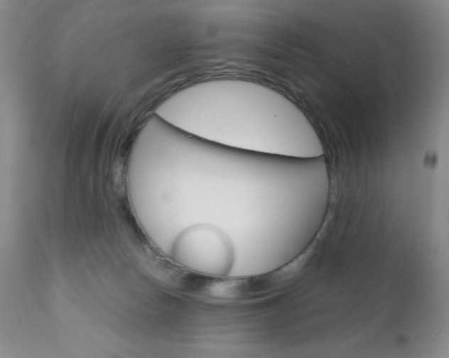 X0000111120178200906301050