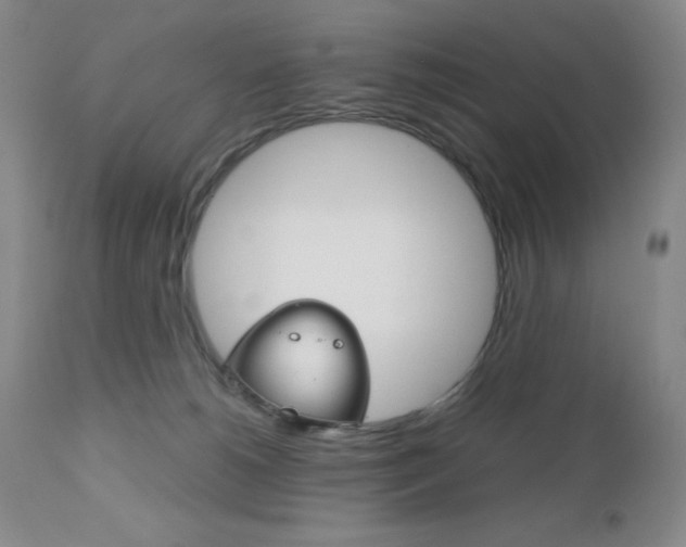 X0000111120180200906301050