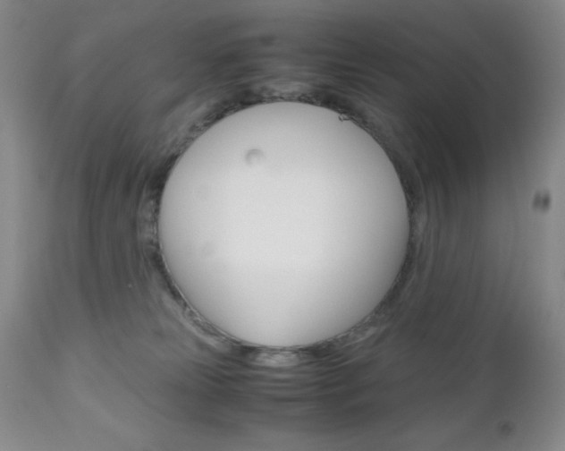 X0000111120181200906301050