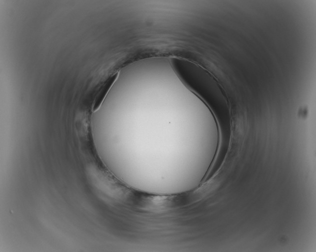 X0000111120184200906301050