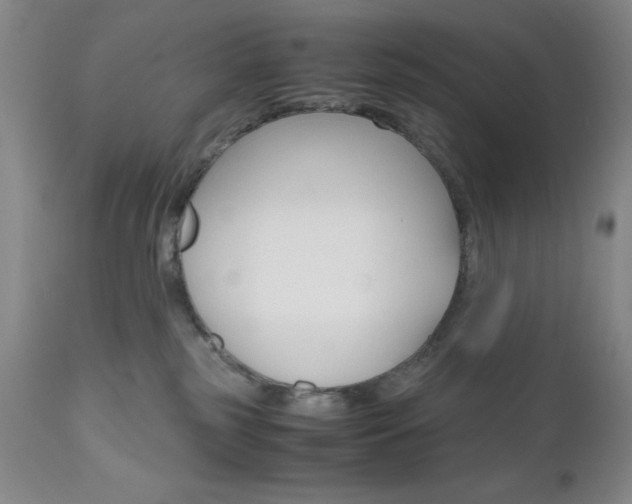 X0000111120185200906301050