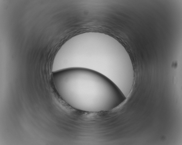 X0000111120186200906301050