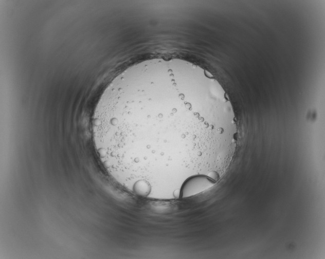 X0000111120187200906301050