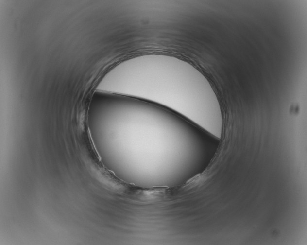 X0000111120188200906301050