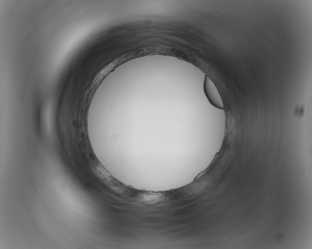 X0000111120189200906301050