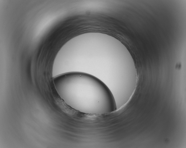 X0000111120190200906301050