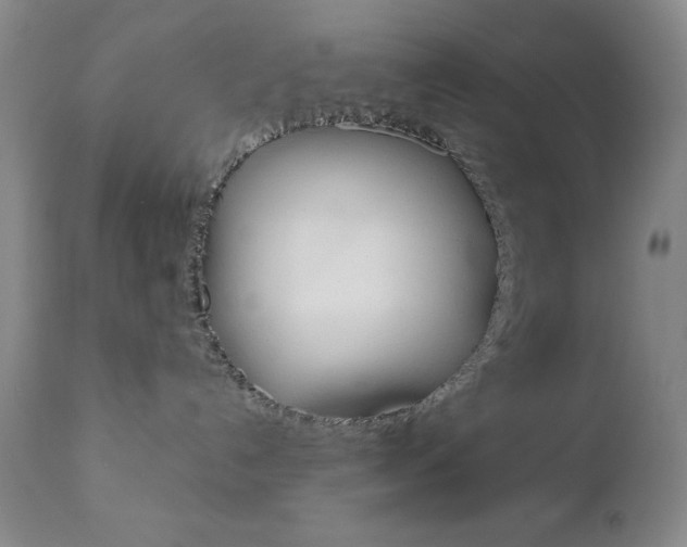 X0000111120192200906301050