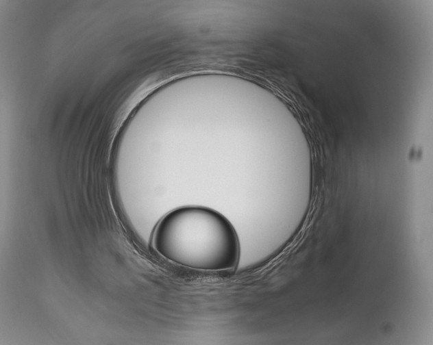 X0000111120195200906301049