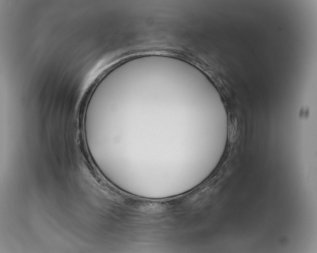 X0000111120198200906301049
