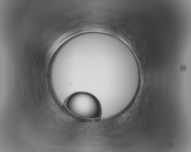 X0000111120199200906301049