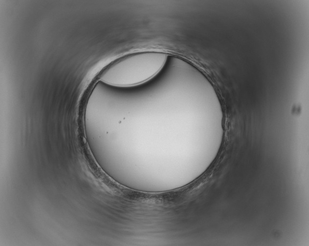X0000111120200200906301049