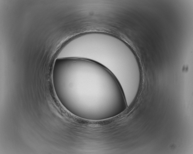 X0000111120203200906301049