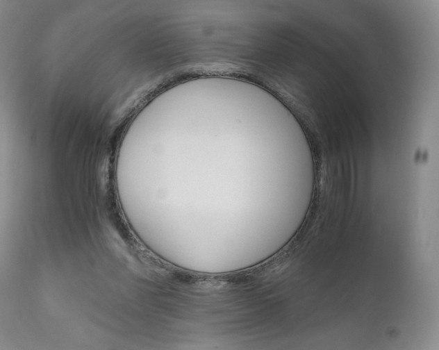 X0000111120206200906301049