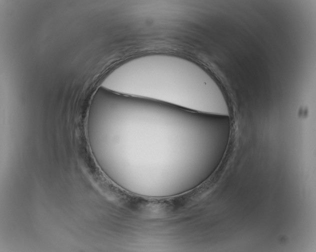 X0000111120209200906301049