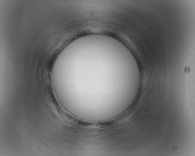 X0000111120213200906301049