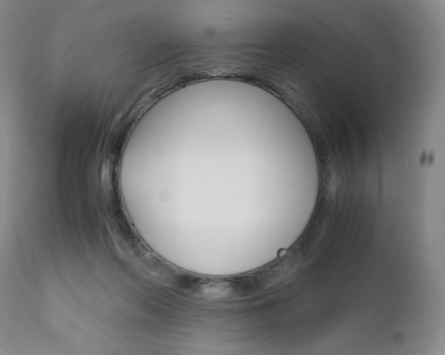 X0000111120214200906301049