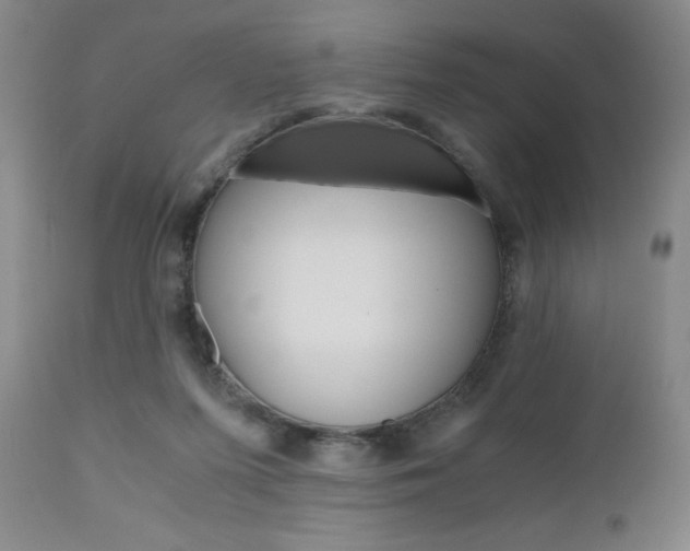 X0000111120215200906301049